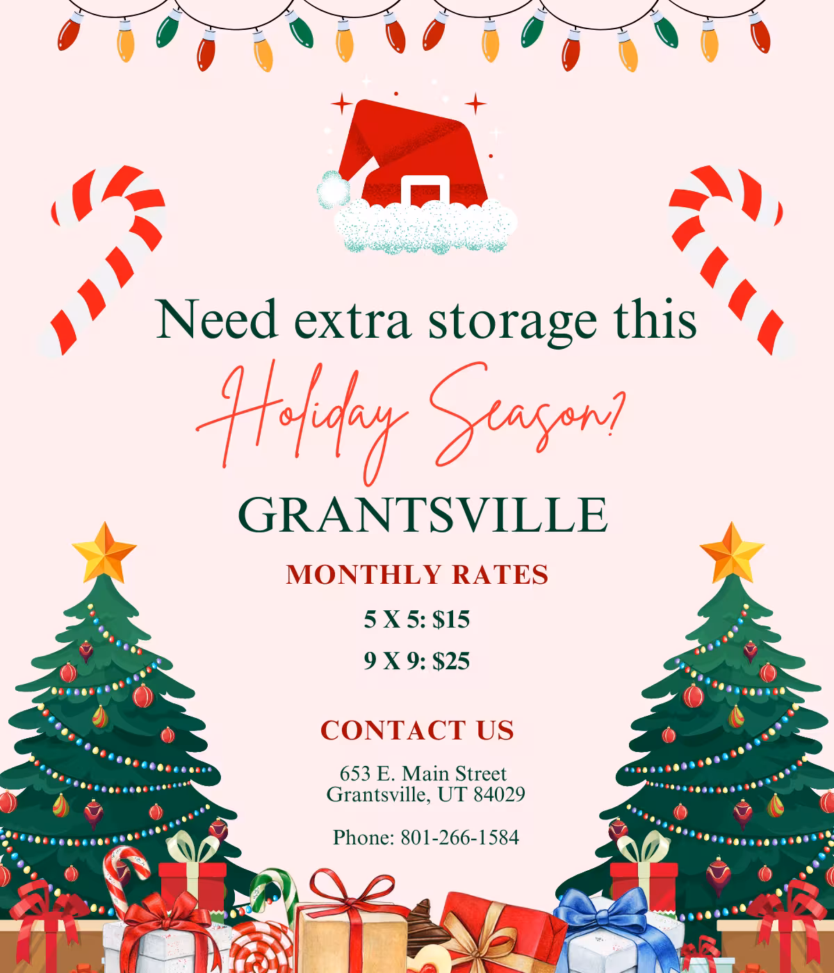 affordable, Medallion, manufactured, manufactured homes near me, GVStorage PopUp, Find your perfect home