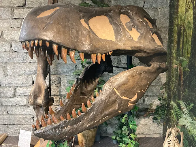 communities, homes, Mineral Lapidary Museum, Medallion Communities, Find your perfect home, manufactured