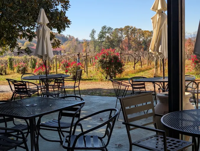 Saint Paul Mountain Vineyards, manufactured communities near me, Medallion Communities, affordable, sale, Medallion