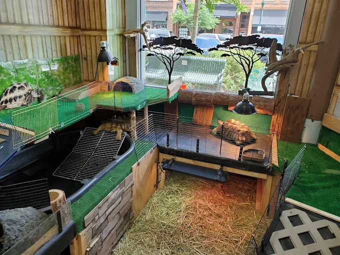 manufactured homes near me, sale, Medallion Communities, Medallion, Team ECCO the Aquarium Shark Lab by Team ECCO, manufactur