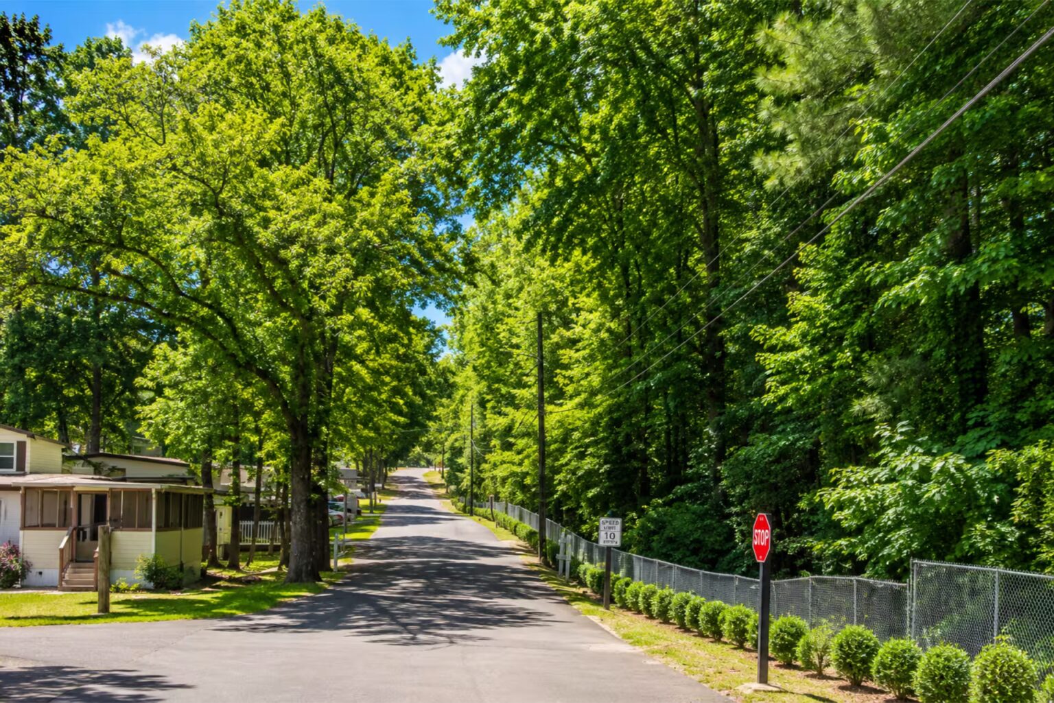 family friendly residential community, neighborhood playground and pool, suburban, Virginia, Medallion